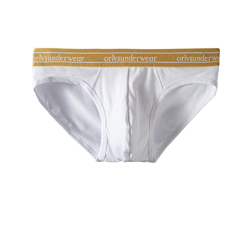 Mens-Breathable-Low-Rise-Sexy-Brief-2