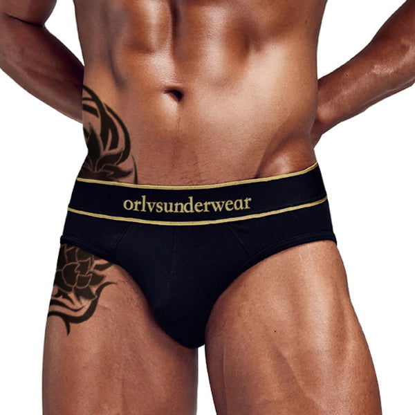 mens-Breathable-Low-Rise-Sexy-Brief-black-1