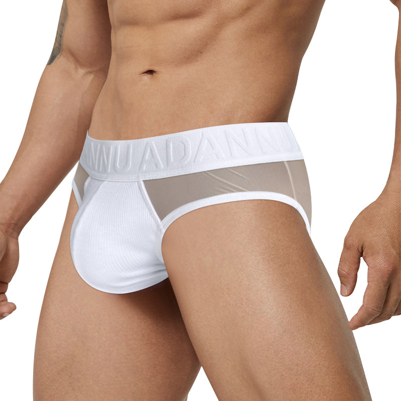 men's-Invisible-Desire-Mesh-Brief-3