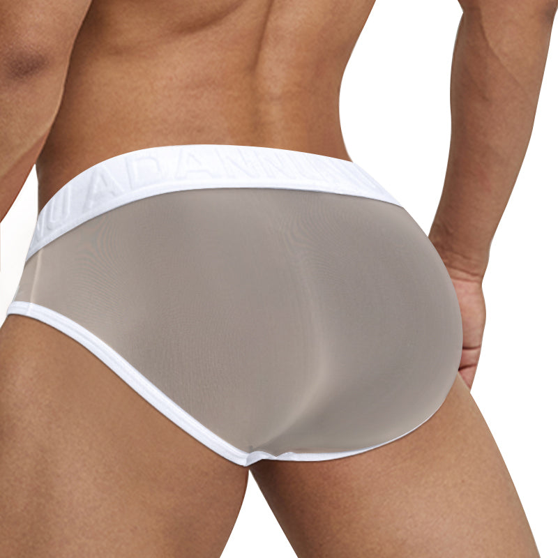 men's-Invisible-Desire-Mesh-Brief-back