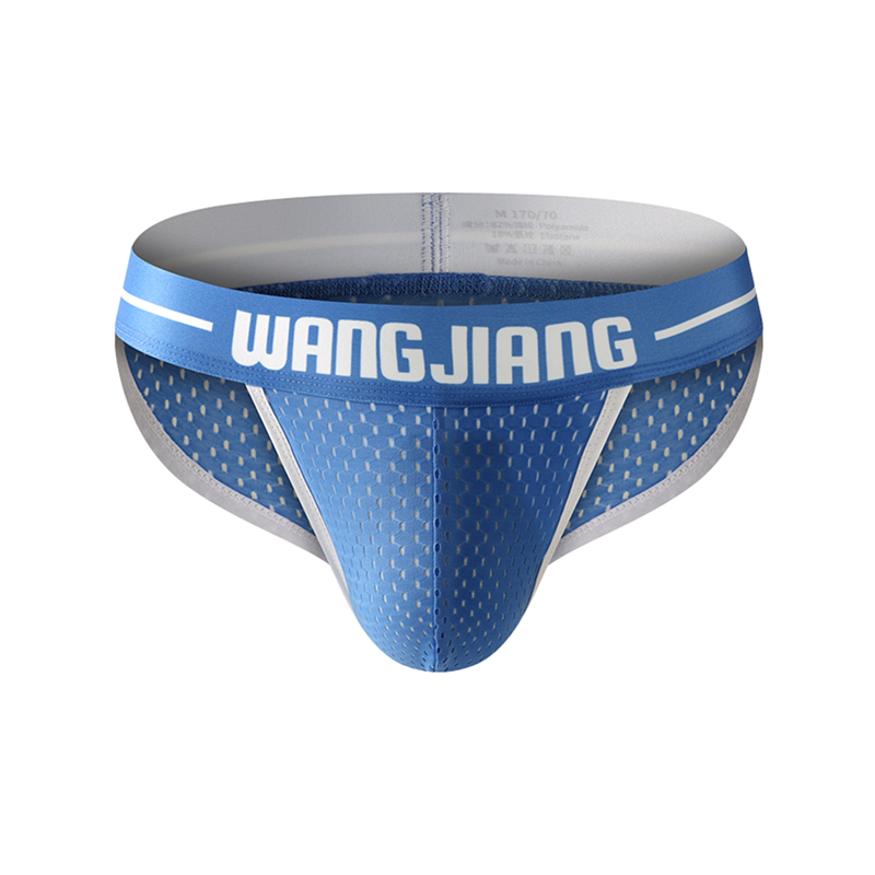 Mens-Sheer-Mesh-Cheeky-Brief-blue