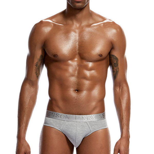 men's-Skin-Friendly-Comfortable-Brief-grey-1
