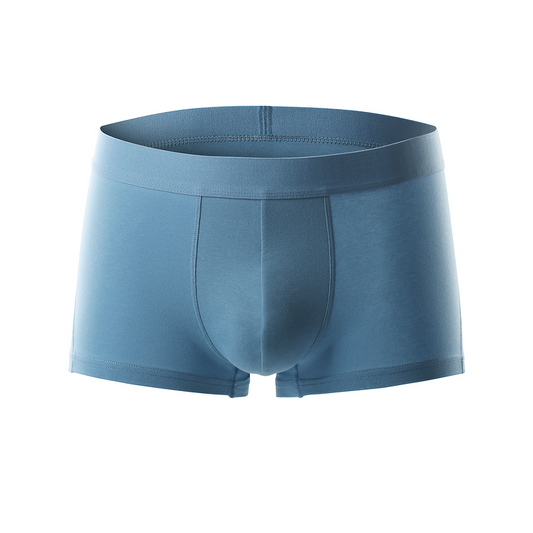 Antibacterial-Trunk-Underwear-Blue