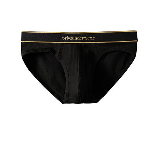 Mens-Breathable-Low-Rise-Sexy-Brief-black